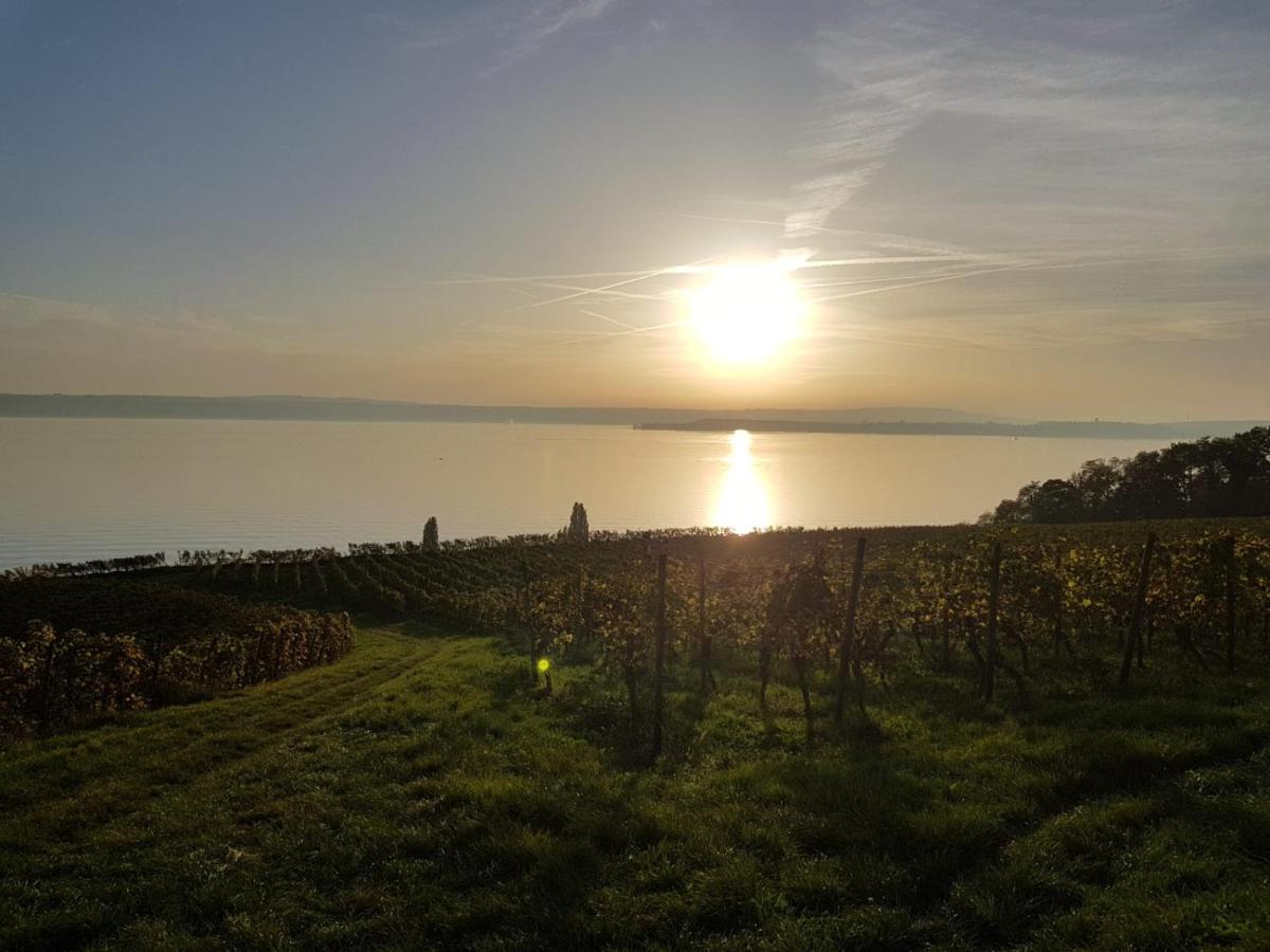 Schoene Stadtwohnung In Friedrichshafen Am Bodensee Luaran gambar